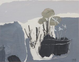 Flowering Succulents.   Paintings by David Pearce. Mixed Media.
