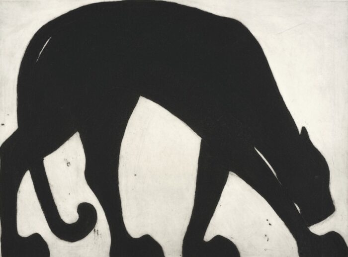 Black Panther. Birds & Animals Prints by Kate Boxer. Drypoint. Black Panther. Birds & Animals Prints by Kate Boxer. Drypoint.