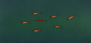 Sea Trout and Tiddlers.   Paintings by Donald Provan. Oil on panel.