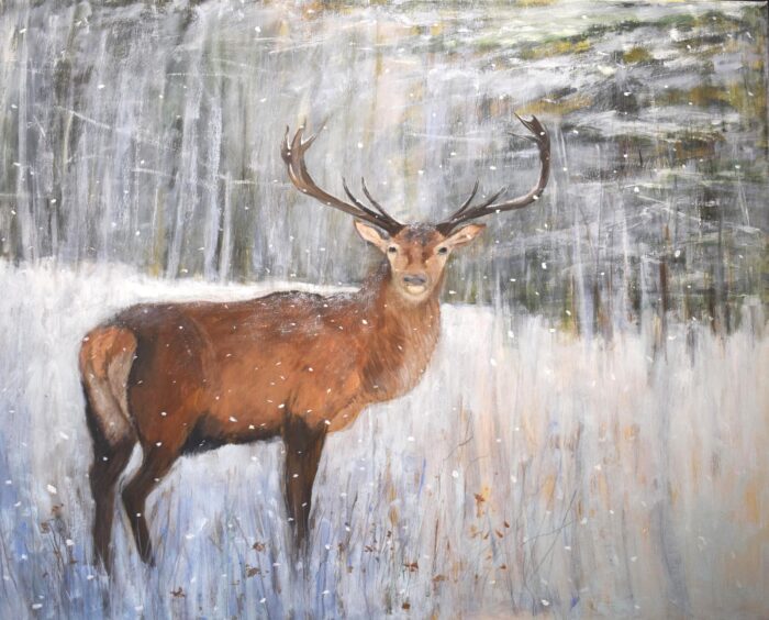 Lone Stag in Winter.   Paintings by Caroline McMillan Davey. Oil on canvas.