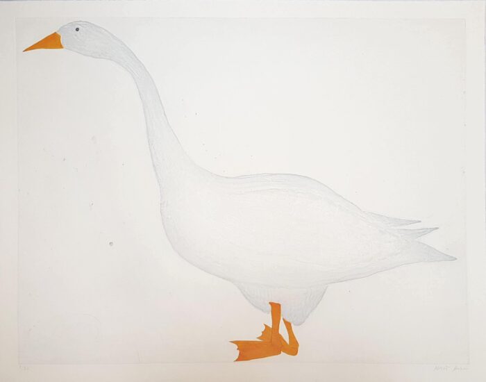 Goose. Birds & Animals Prints by Kate Boxer. Drypoint & hand-coloured. Goose. Birds & Animals Prints by Kate Boxer. Drypoint & hand-coloured.