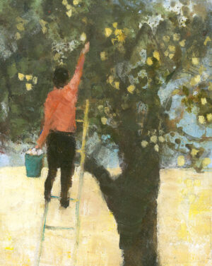 The Pear Tree.   Paintings by David Brayne. Acrylic & pigment on paper.