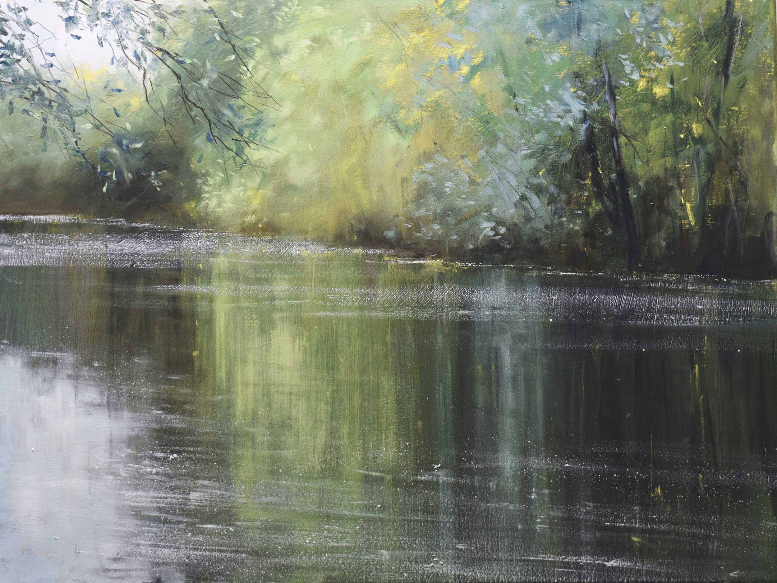 River Dart, Near Newbridge.   Paintings by Caroline McMillan Davey. Oil on canvas.
