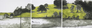 Ashprington Point, River Dart - Tryptich.   Prints by Susan Deakin. Drypoint.