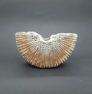 Melon Slice.   Ceramics by Uncategorised. Earthenware.