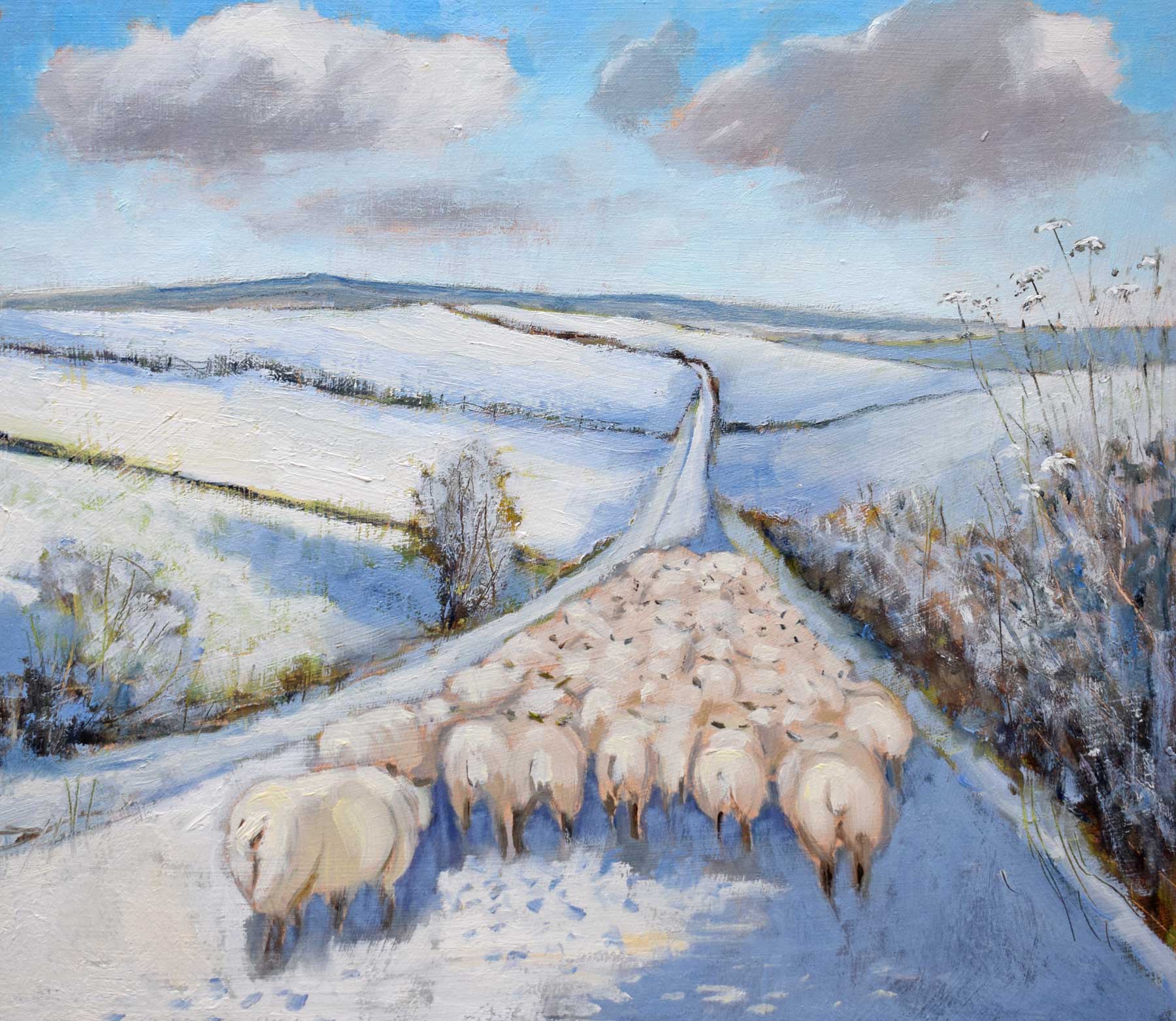 Sheep on the Move.   Paintings by Caroline McMillan Davey. Oil on board.