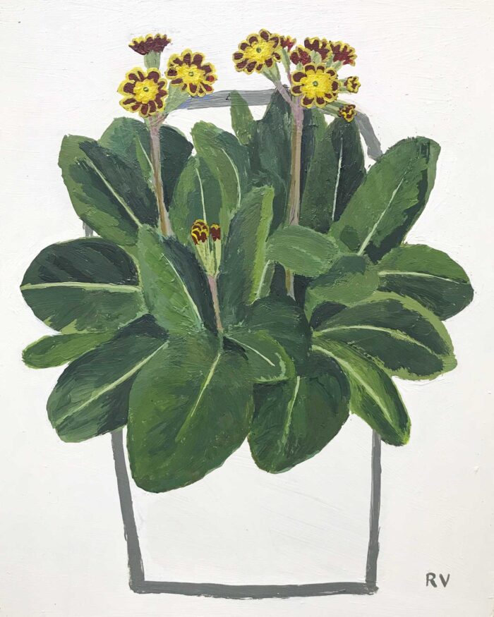 Polyanthus Victoriana Gold Lace.   Paintings by Uncategorised. Acrylic on board.