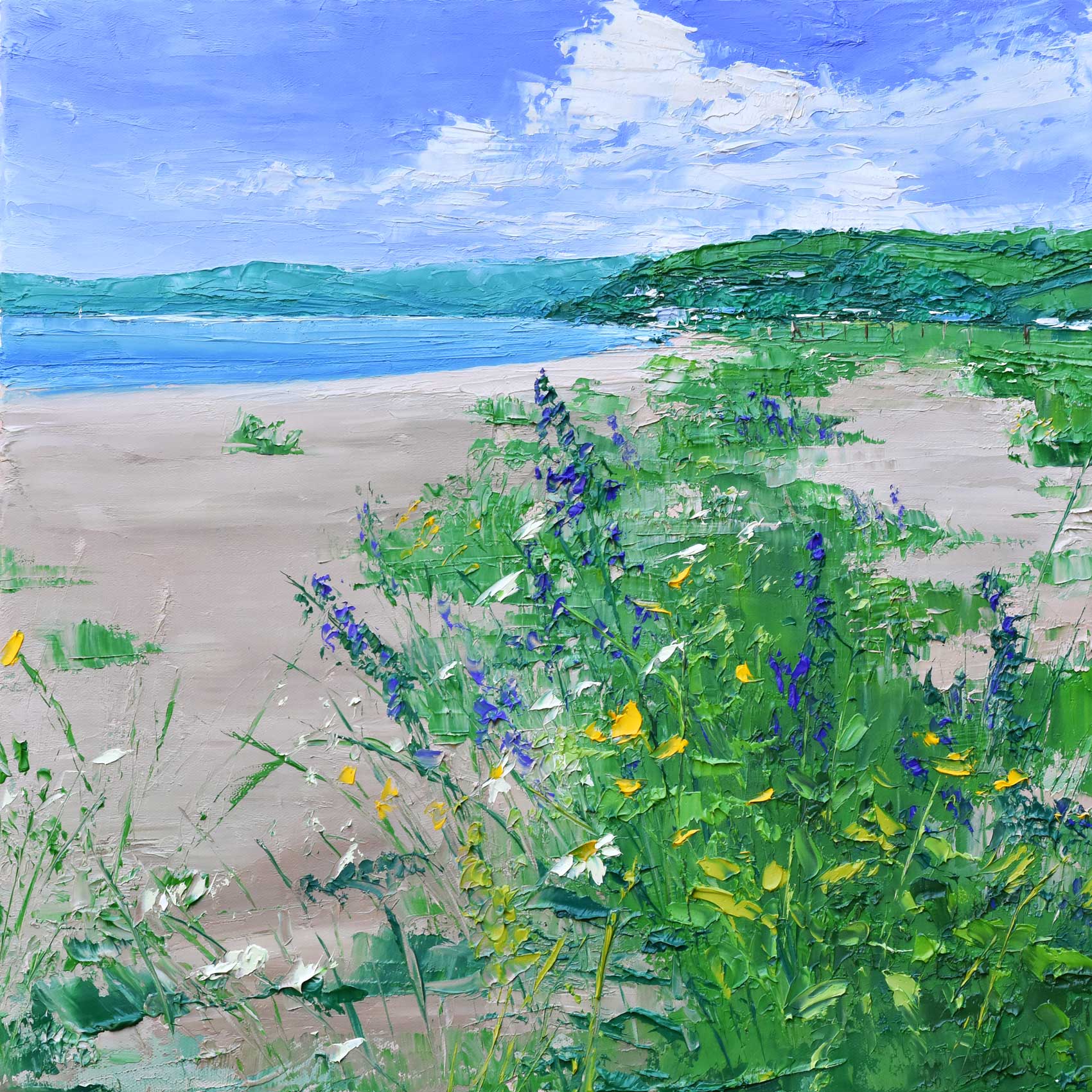 Wild Flowers, Slapton Sands.   Paintings by Colin Carruthers. Oil on canvas.