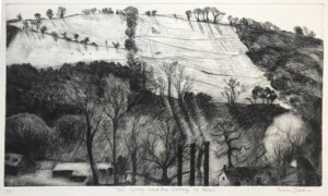The Going & Coming of Trees.   Prints by Susan Deakin. Drypoint.