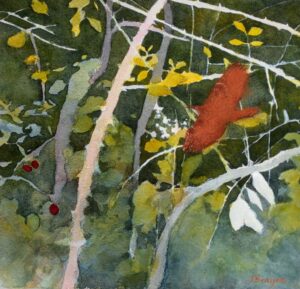 The Wren's Song.   Paintings by Jane Brayne. Mixed Media.