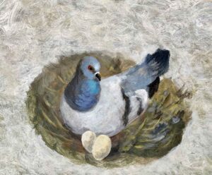 Pigeon in Her Nest. Birds & Animals  Paintings by Sarah Bowman. Oil on board.