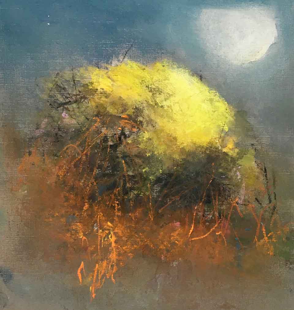 Old Gold Valley.   Paintings by Wendy McBride. Pastel.