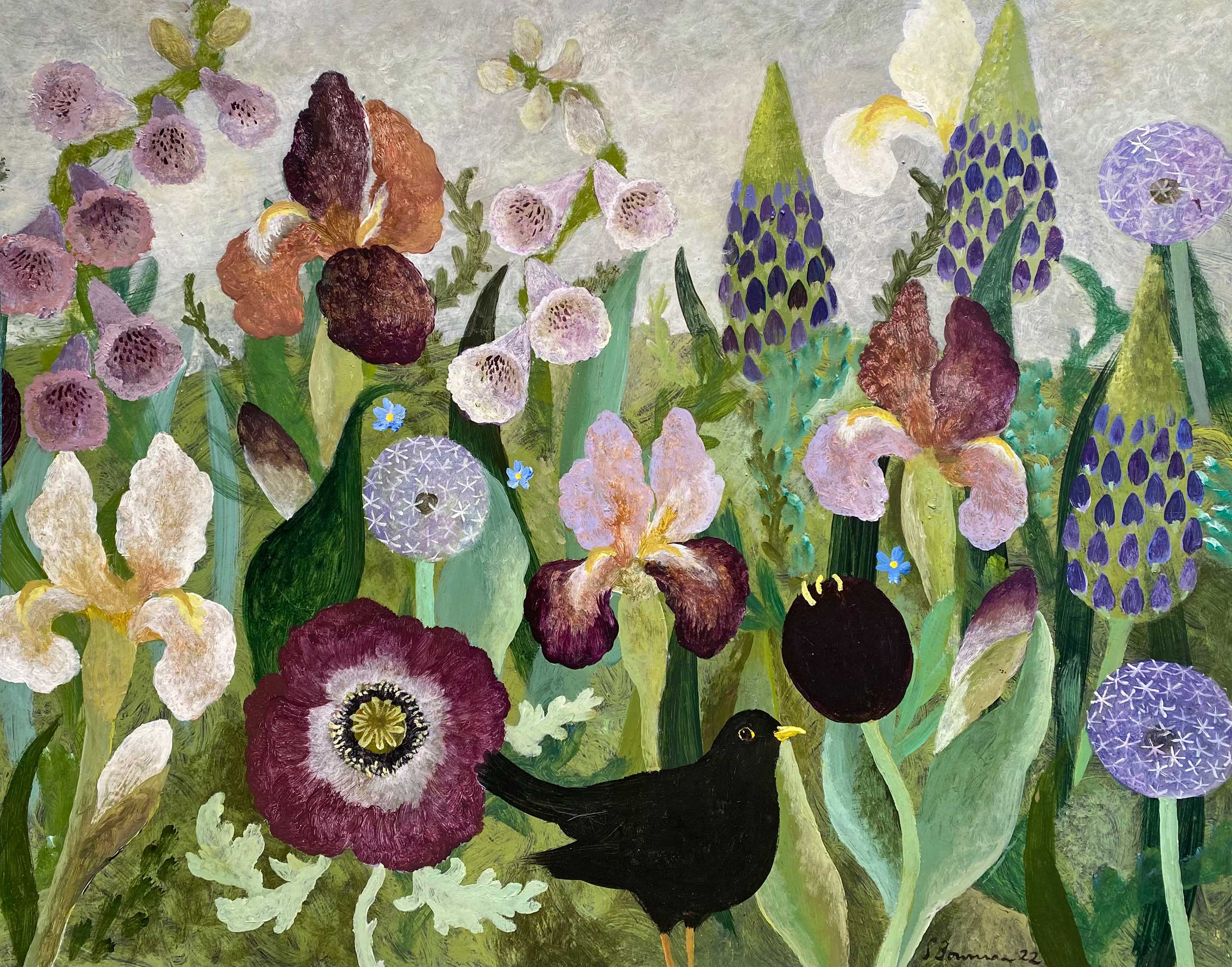 Irises, Poppies & Lupins. Birds & Animals Floral Paintings by Sarah Bowman. Oil on board. Irises, Poppies & Lupins. Birds & Animals Floral Paintings by Sarah Bowman. Oil on board.