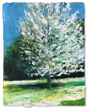 First Blossom. Landscape  Paintings by David Morgan. Oil on canvas.