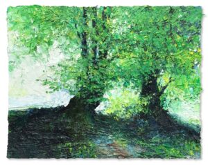 Beech Trees on Top of a Bank. Landscape  Paintings by David Morgan. Oil on board.