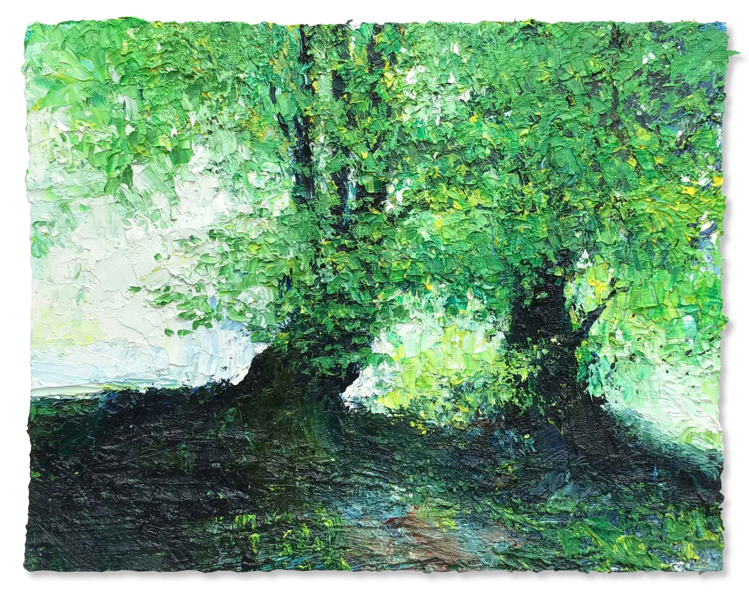 Beech Trees on Top of a Bank. Landscape  Paintings by David Morgan. Oil on board.