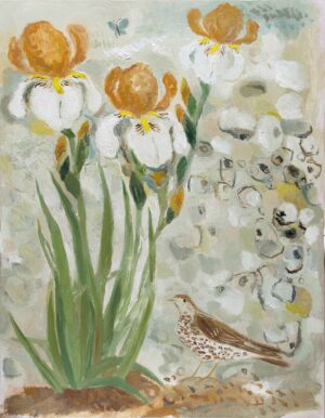 Benton Iris and Song Thrush in the Garden. Floral  Paintings by Jo Aylward. Oil on panel.