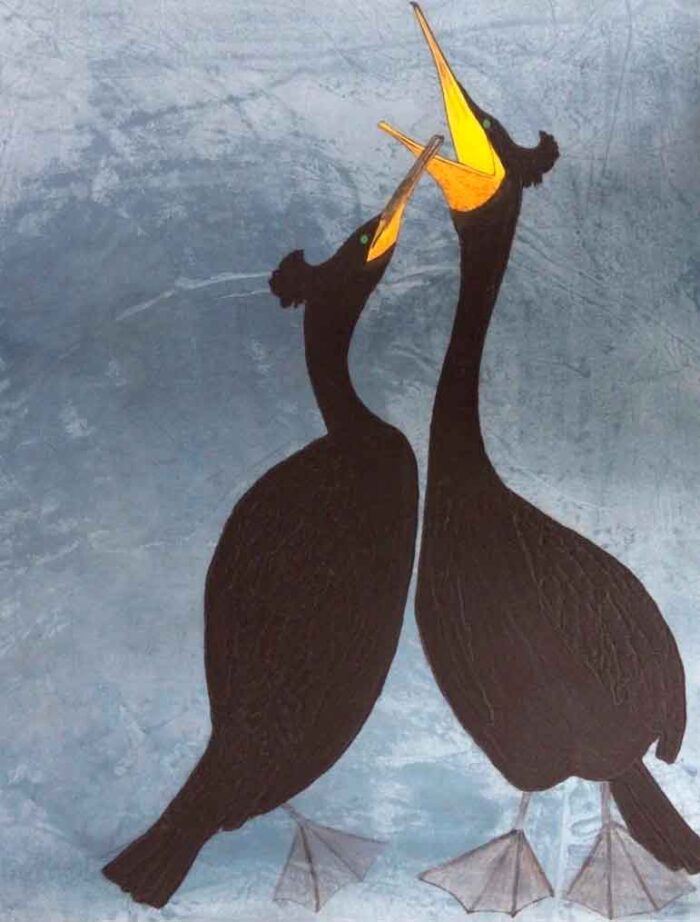 Shags. Birds & Animals Prints by Kate Boxer. Drypoint & hand-coloured. Shags. Birds & Animals Prints by Kate Boxer. Drypoint & hand-coloured.