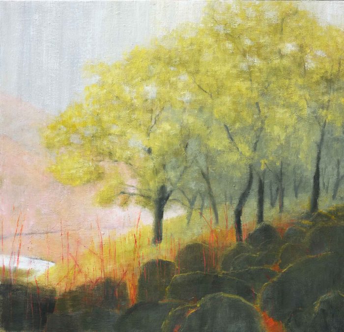 Rain in the Rainforest (Wistman's Wood). Landscape  Paintings by Jane Brayne. Oil on panel.