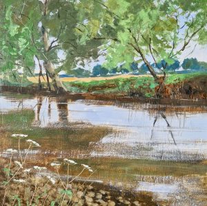 The Daisy Field. Landscape Floral Paintings by Caroline McMillan Davey. Oil on board.