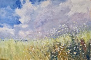 The Daisy Field. Landscape Floral Paintings by Caroline McMillan Davey. Oil on board.