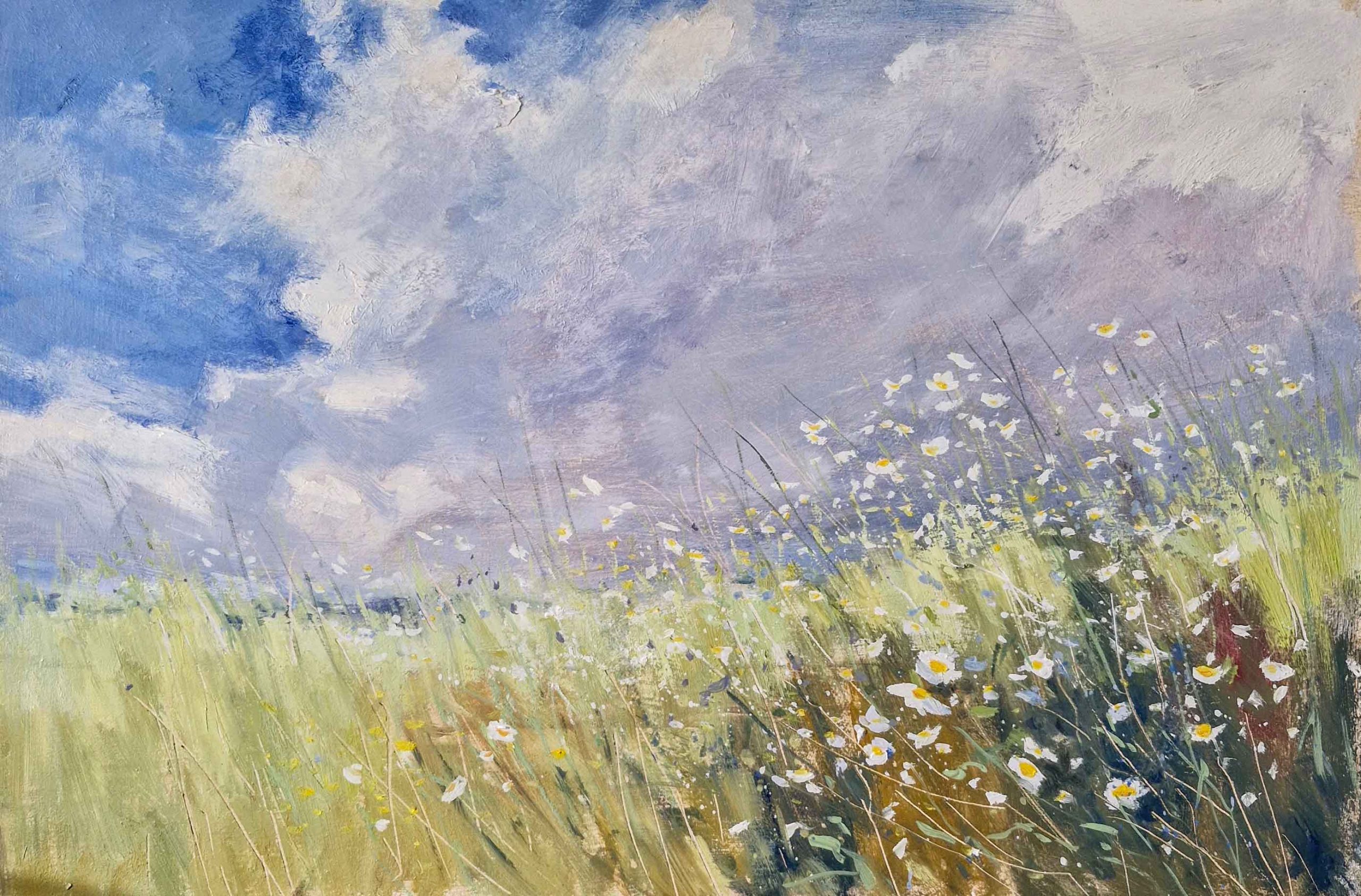 The Daisy Field. Landscape Floral Paintings by Caroline McMillan Davey. Oil on board.