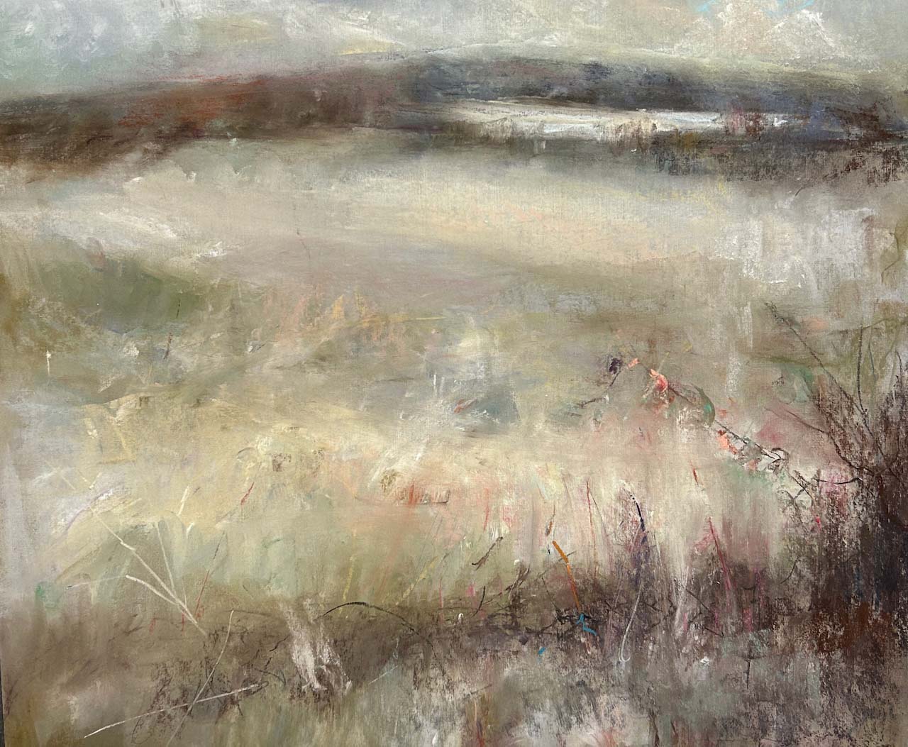 Where are the Deer?. Dartmoor Devon Paintings by Wendy McBride. Pastel.