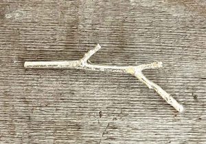 Branch Studs with Bronze Pearl (62).   Jewellery by Holly Belsher. Silver.