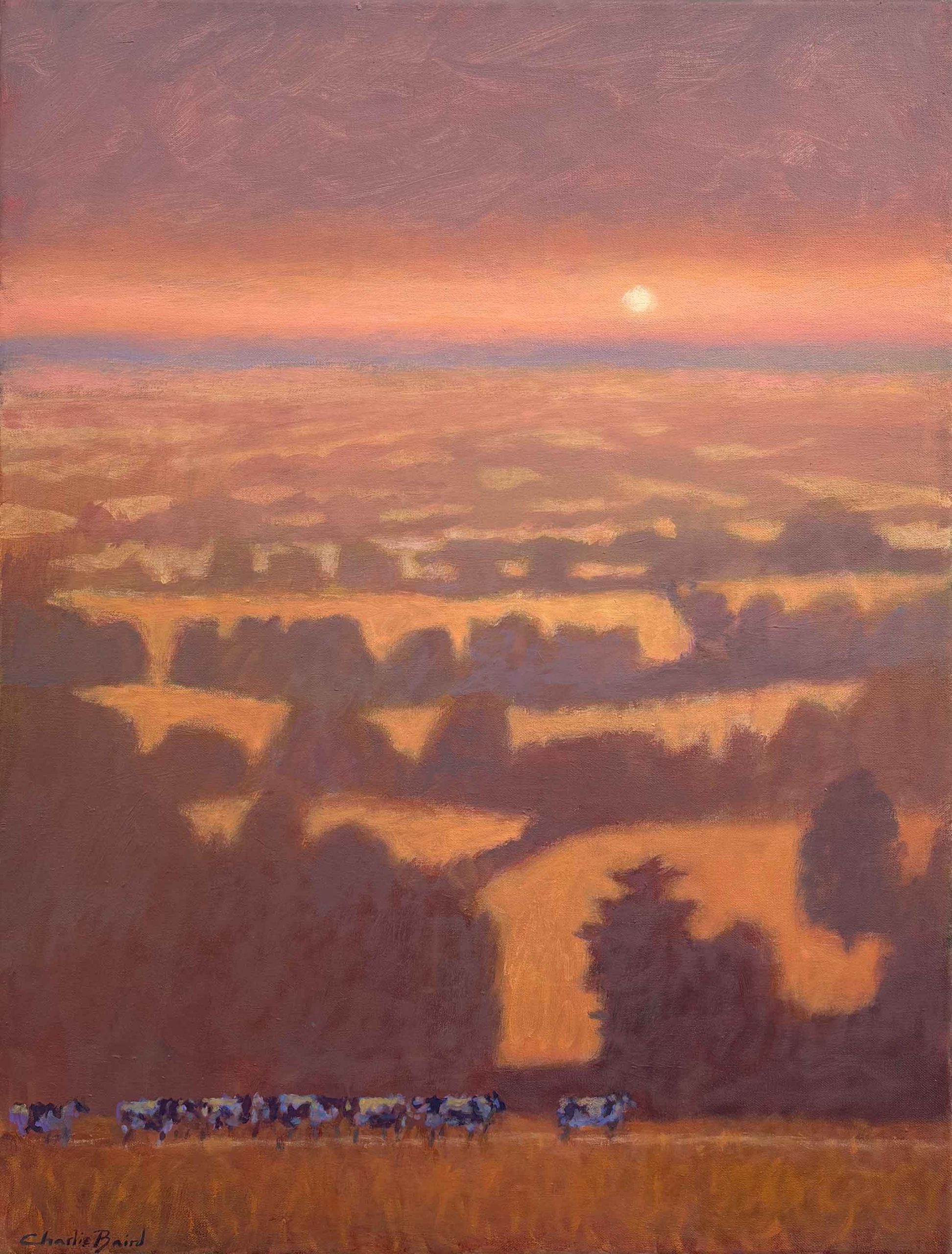 Tuscan Hill. European Landscape Paintings by Charlie Baird. Mixed media on board.