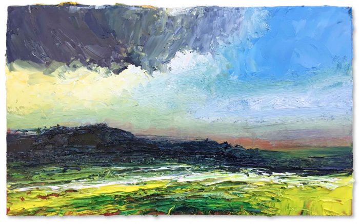 Copper Beech. Dartmoor Devon Paintings by David Morgan. .