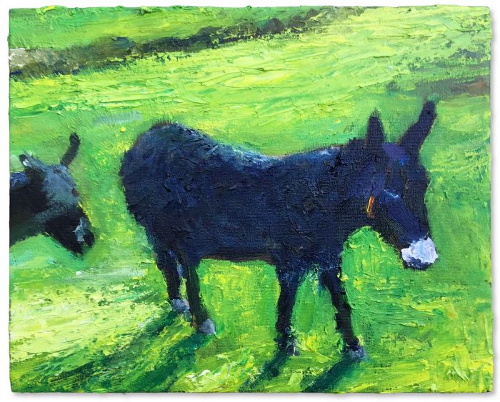 Margo & Barry. Birds & Animals Landscape Paintings by David Morgan. Oil on canvas.