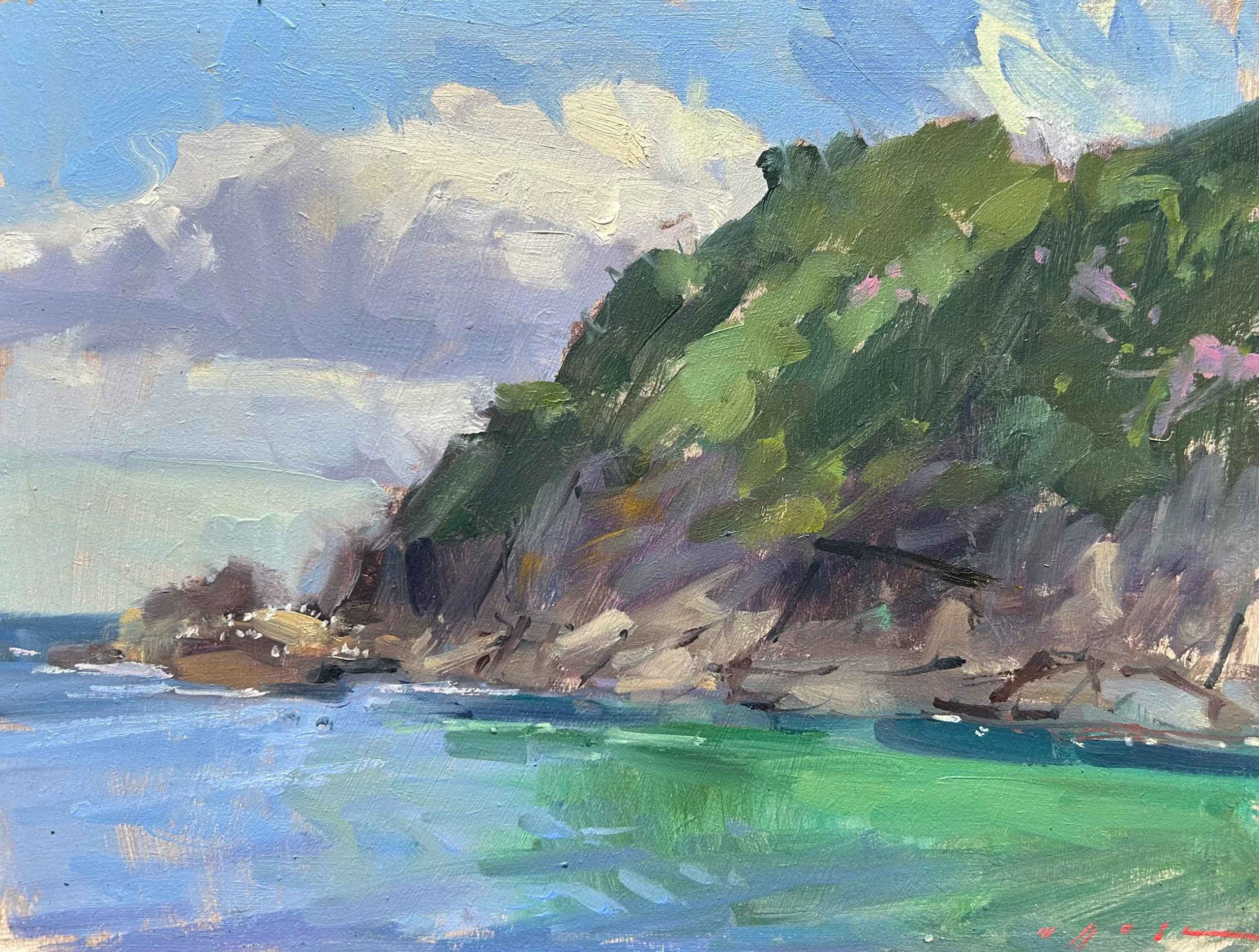 Sunlit Cove. Seascape Devon Paintings by Maria Rose. Oil on board.
