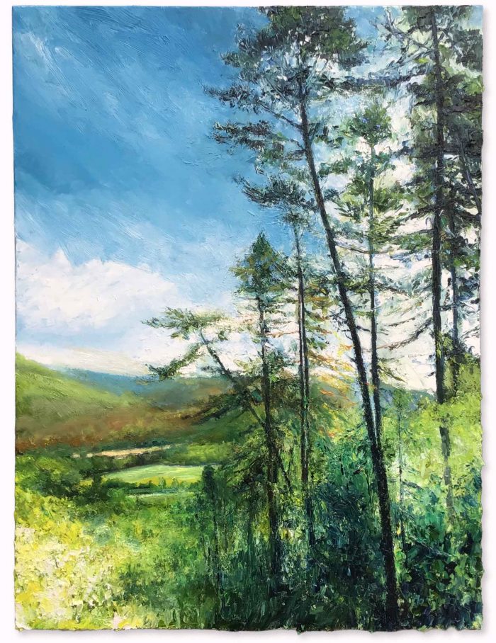 Across the Valley. Devon Landscape Paintings by David Morgan. Oil on canvas.