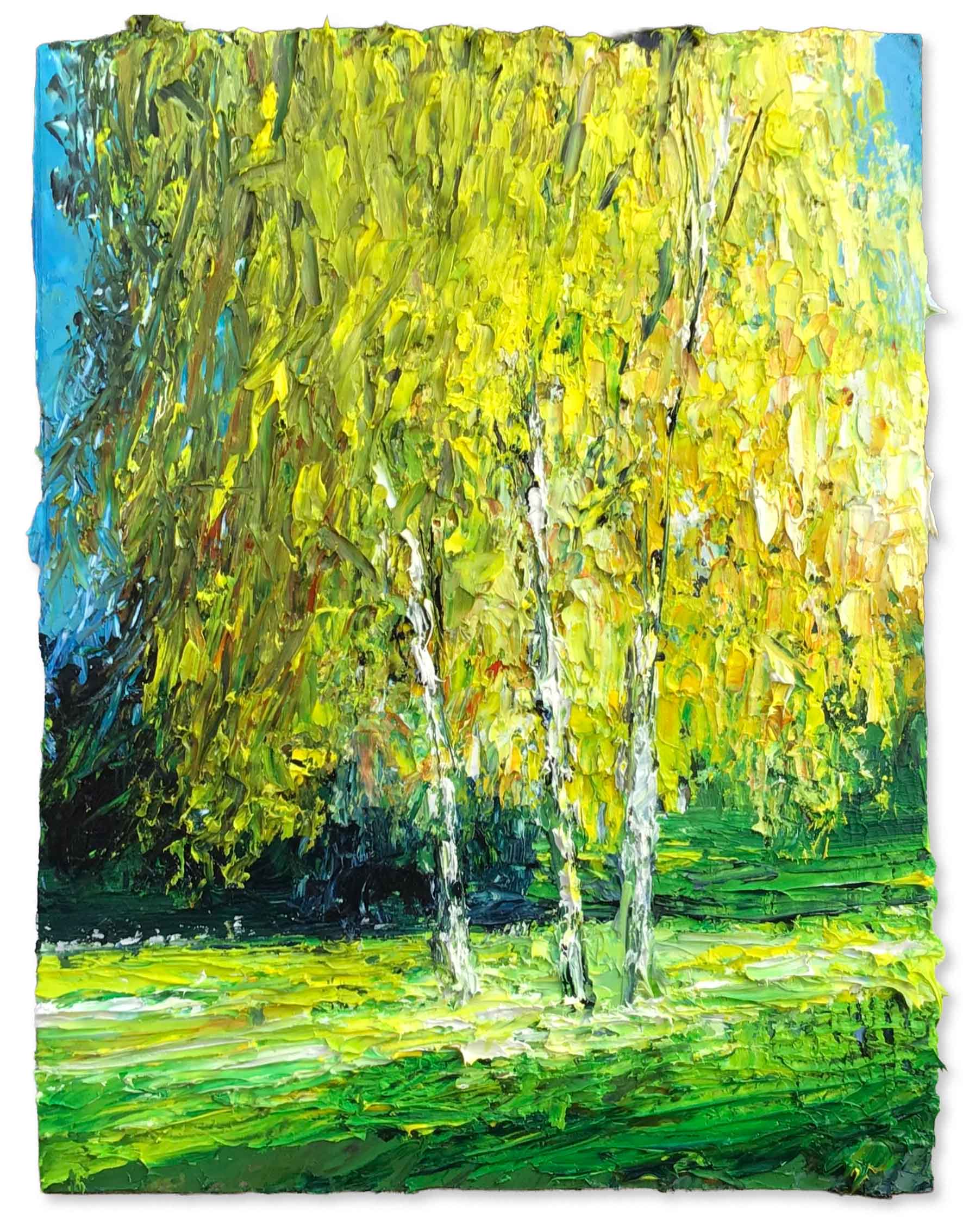 Birch Trees, Autumn. Landscape  Paintings by David Morgan. Oil on board.