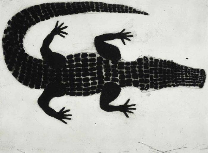 Alligator. Birds & Animals  Prints by Kate Boxer. Drypoint.