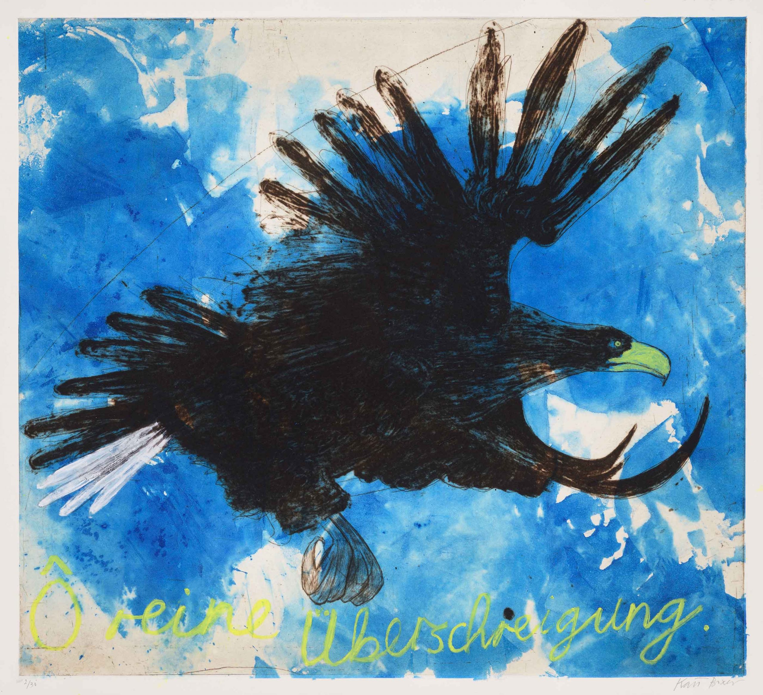 Ô Reine Überschreigung. Birds & Animals  Prints by Kate Boxer. Drypoint, carborundum & Chine collé.