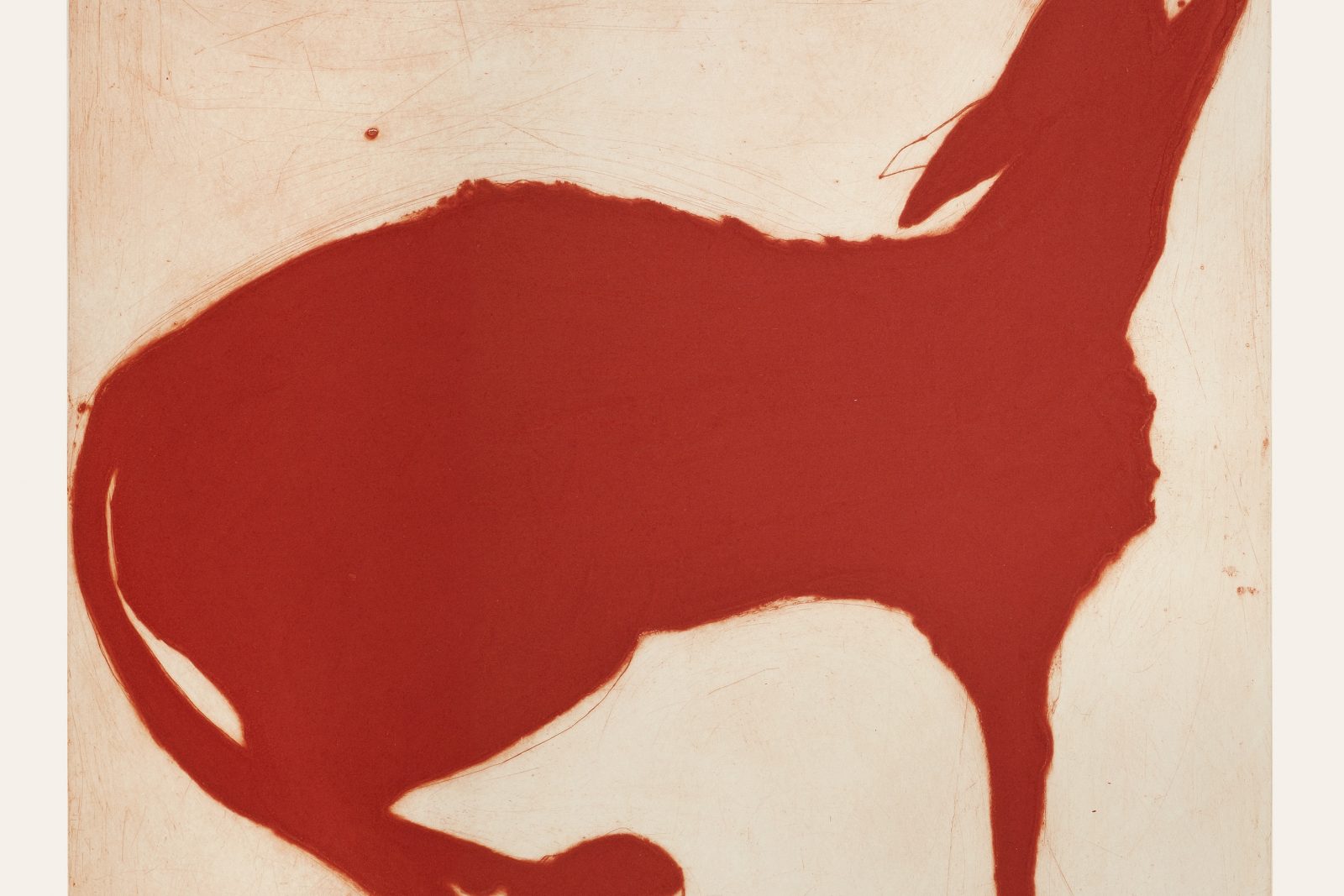 Red Wolf. Birds & Animals  Prints by Kate Boxer. Drypoint & chine collee.