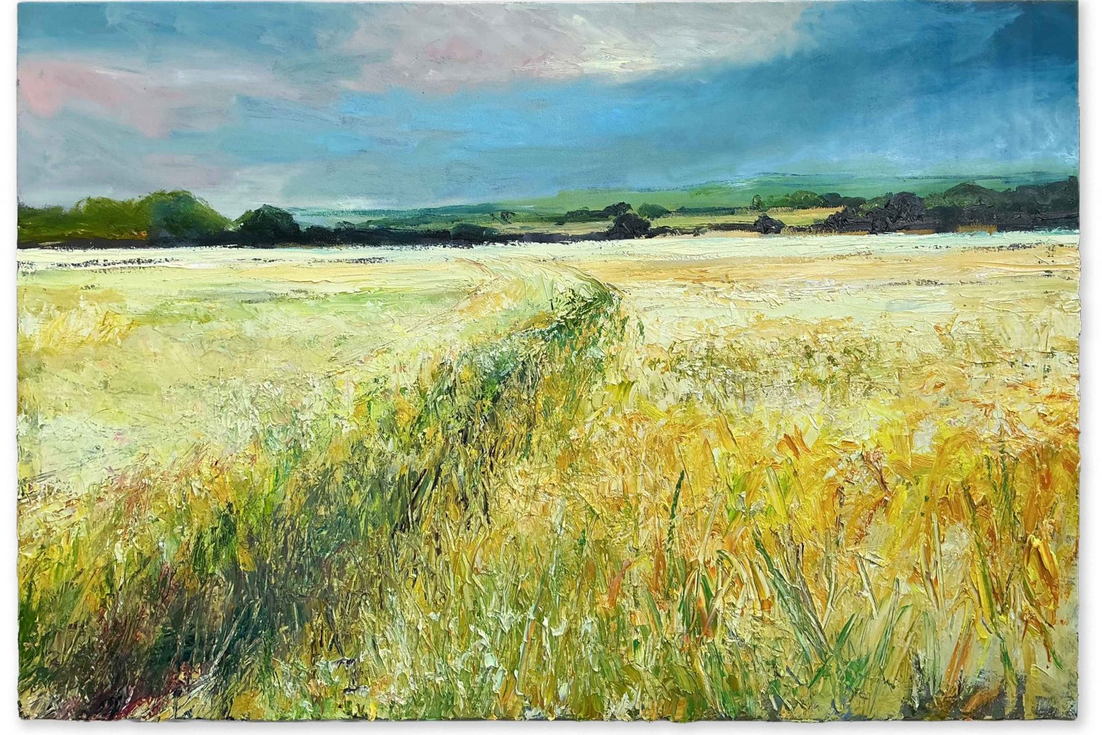 Barley Field. Landscape  Paintings by David Morgan. Oil on canvas.