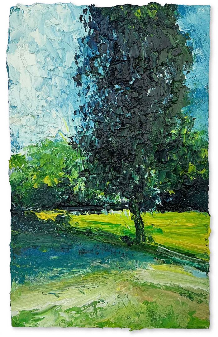 Birch Tree. Landscape  Paintings by David Morgan. Oil on board.