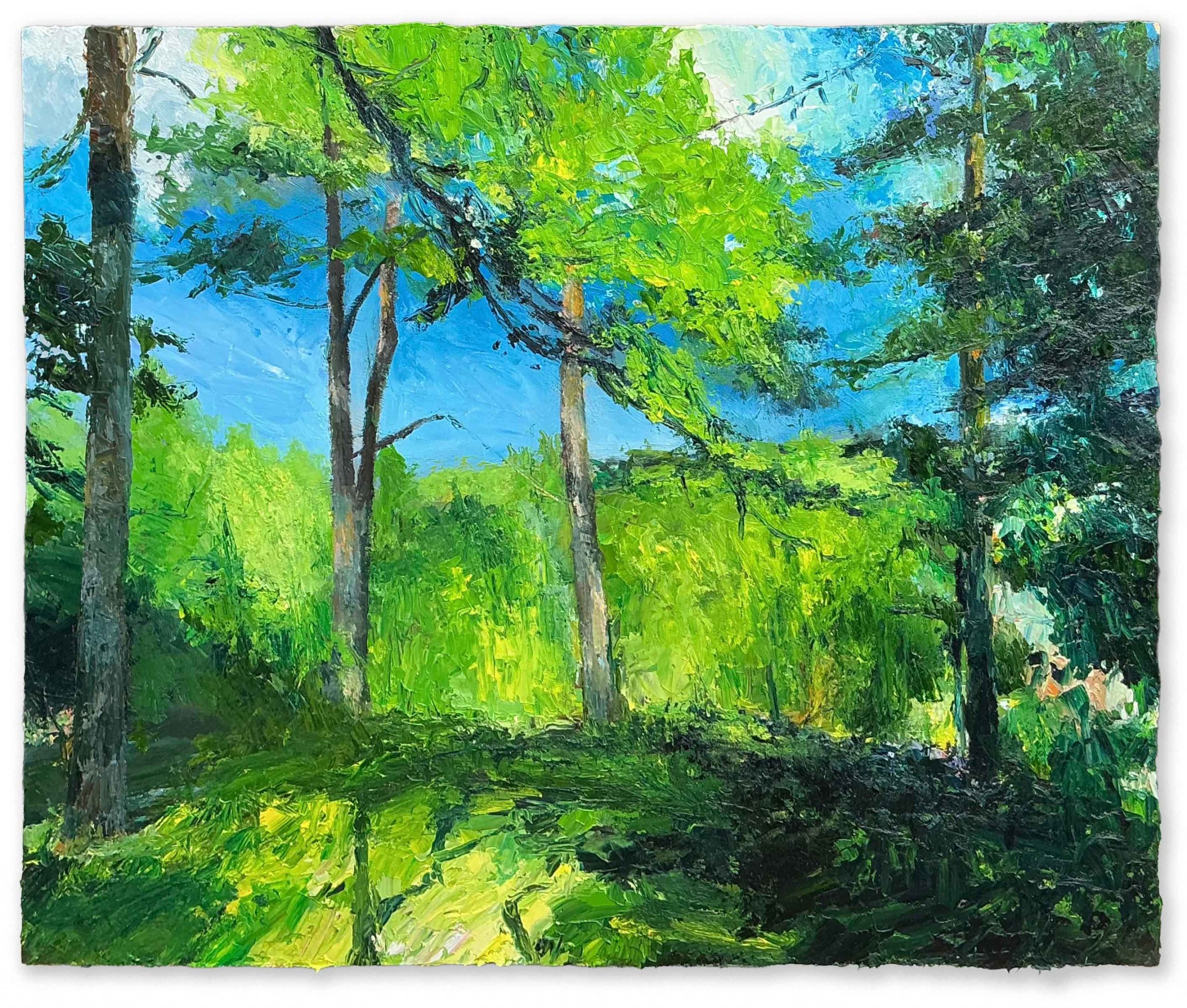 Pines. Landscape  Paintings by David Morgan. Oil on board.