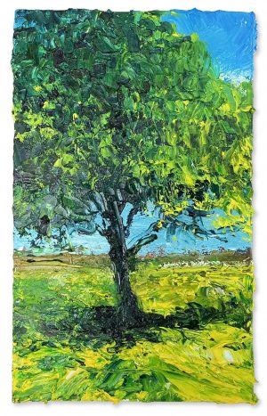 Summer Tree. Landscape  Paintings by David Morgan. Oil on board.