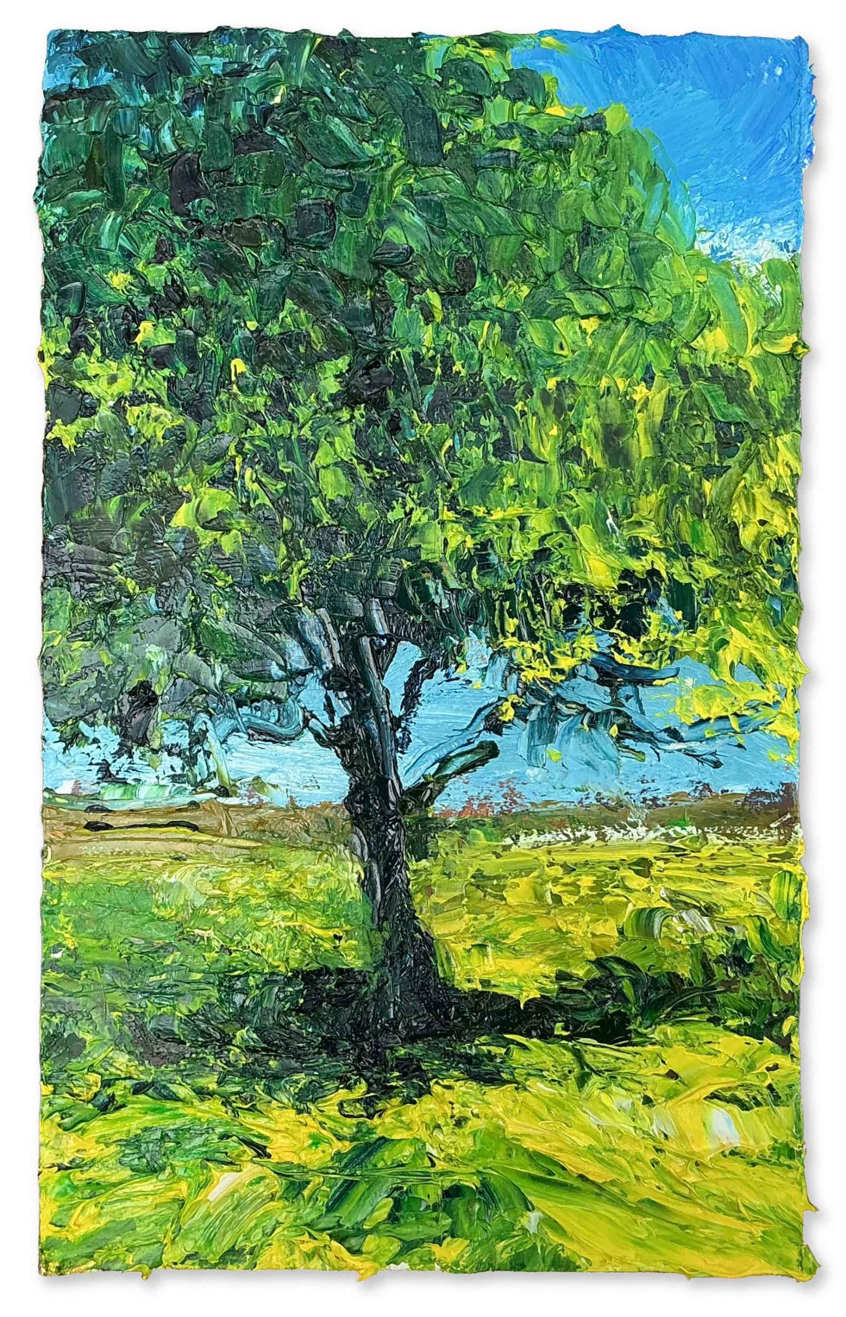 Summer Tree. Landscape  Paintings by David Morgan. Oil on board.